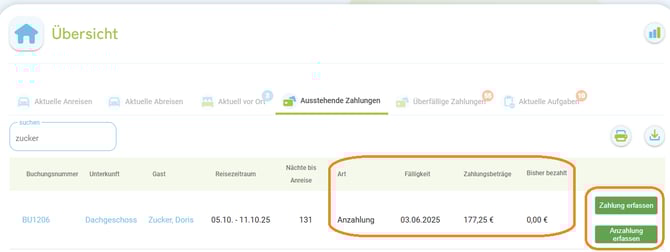 Übersicht - Zahlung erfassen1