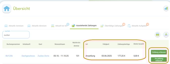Übersicht - Zahlung erfassen1