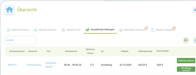 Übersicht Liste der ausstehende und überfällige Zahlungen1