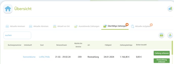 Übersicht Liste der ausstehende und überfällige Zahlungen2
